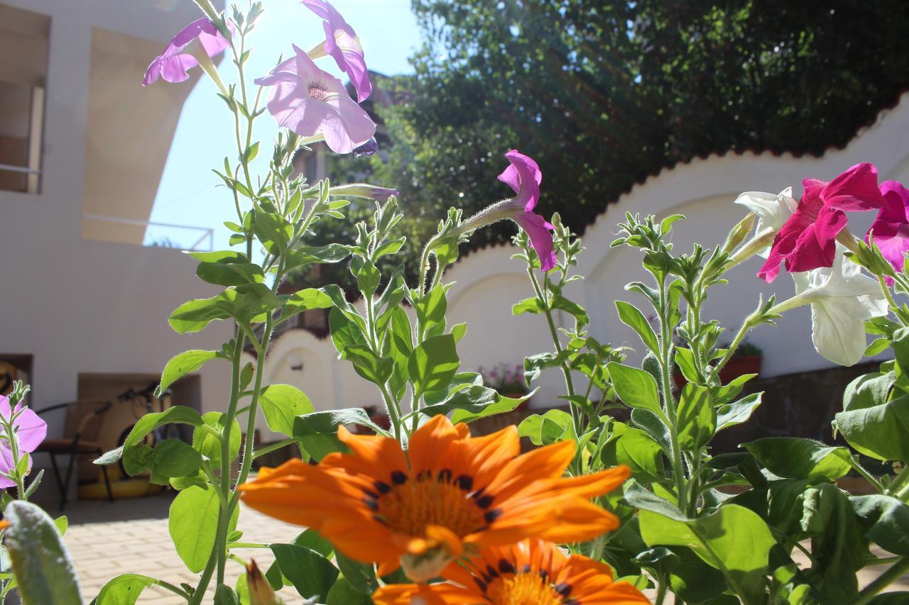 Siana House Hotel Ravda Exterior photo